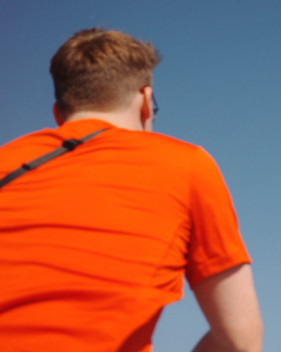 Historic temple grounds in Tokyo with cherry blossoms