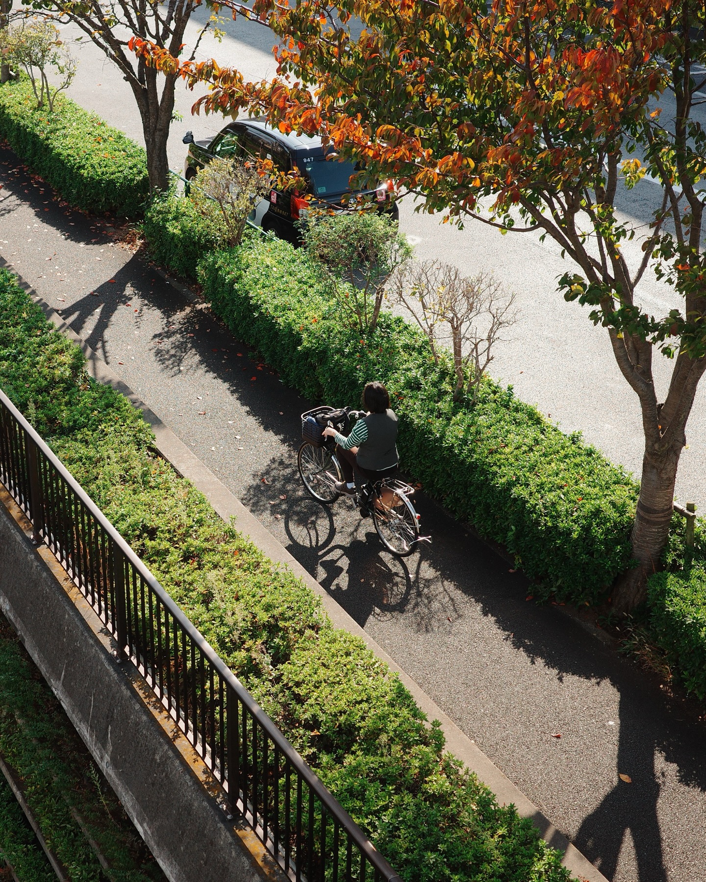 Networking at tech conference in Tokyo with international attendees